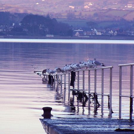The Oystercatcher Lodge Carlingford Esterno foto