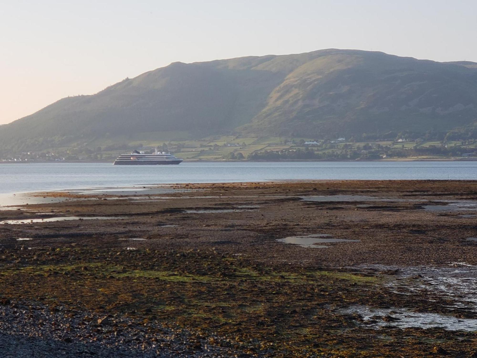 The Oystercatcher Lodge Carlingford Esterno foto