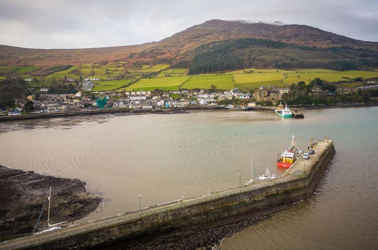 The Oystercatcher Lodge Carlingford Esterno foto