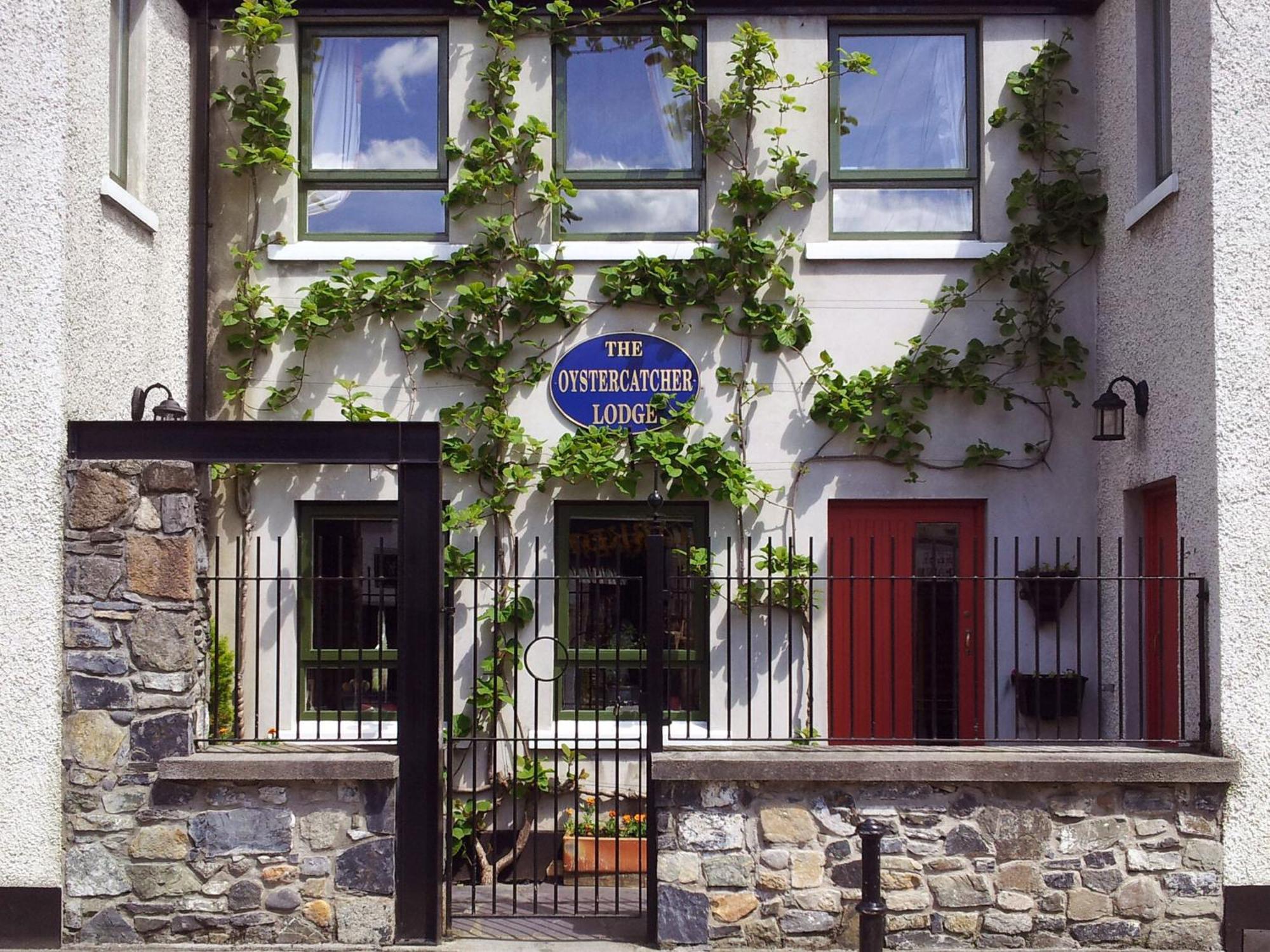 The Oystercatcher Lodge Carlingford Esterno foto
